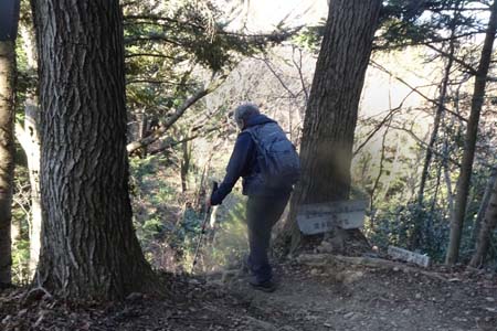 北高尾山稜・八王子城への道を右に分け