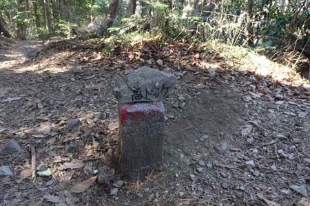 北高尾山稜・高ドッケ