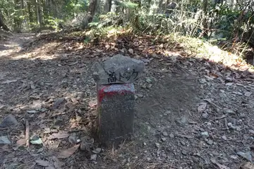 高ドッケ