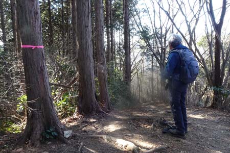 北高尾山稜・板当山の山頂