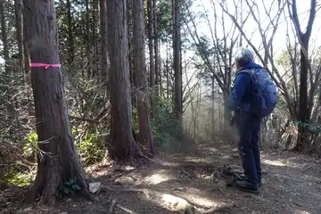 板当山の山頂