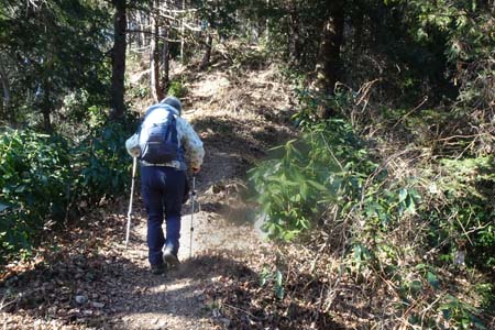 北高尾山稜・狐塚峠からの登り返し