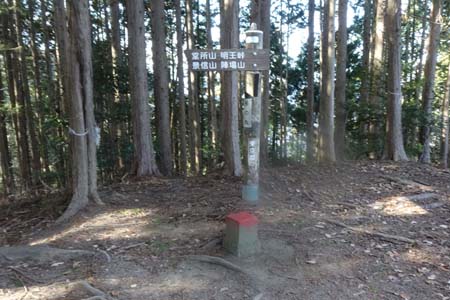 北高尾山稜・木立に覆われた杉の丸の山頂