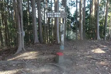 杉の丸の山頂