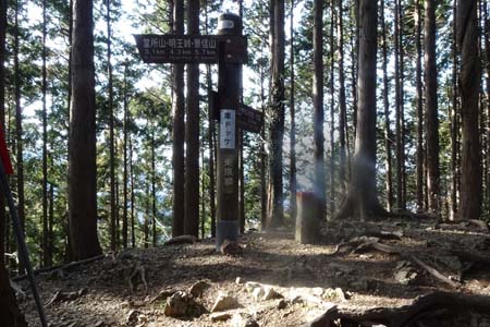 北高尾山稜・登り返した黒ドッケ
