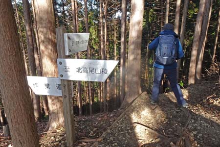 北高尾山稜・樹林帯の中を夕焼けふれあいの道へ