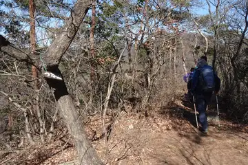 つる山
