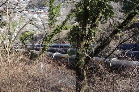 都留アルプス・谷村発電所の送水管