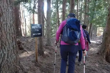 都留アルプス山