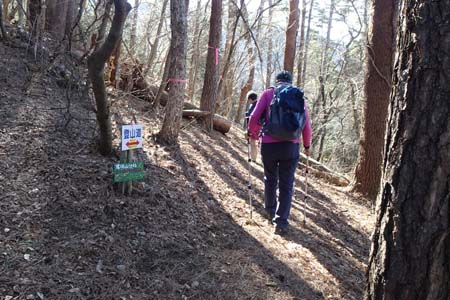都留アルプス・尾崎山への分岐