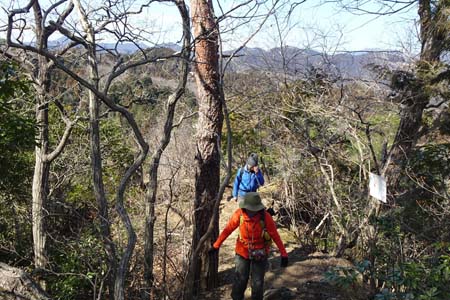 赤ぼっこから吉野梅郷・天狗岩を往復