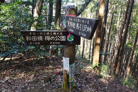 赤ぼっこから吉野梅郷・要害山は登山道の分岐