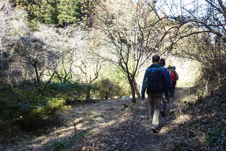 赤ぼっこから吉野梅郷・放棄されたミカン畑