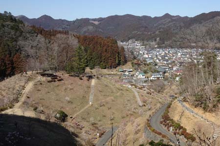赤ぼっこから吉野梅郷・明るい斜面には梅の若木