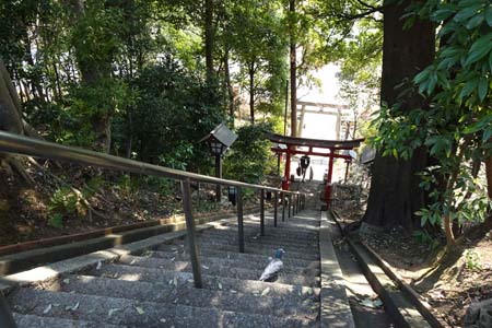 横浜市都筑区・茅ヶ崎杉山神社の見下ろす急な石段