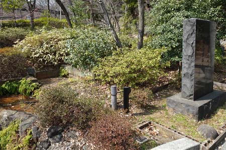 横浜市都筑区・茅ヶ崎杉山神社の親水園地