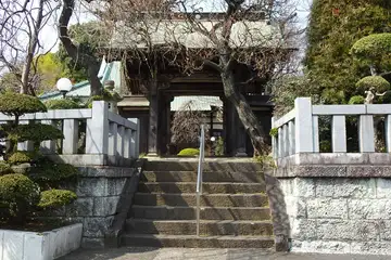 最乗寺の山門