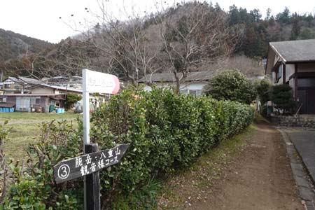八重山から五感の森・山風呂から観音様コース