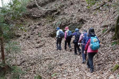 八重山から五感の森・カタクリの群生地もありました