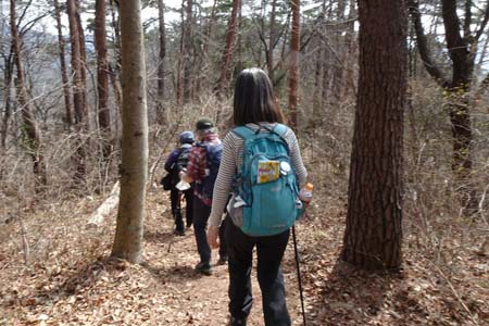 八重山から五感の森・明るい尾根道を緩やかに下り