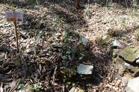 八重山から五感の森・炭焼き釜があったとか
