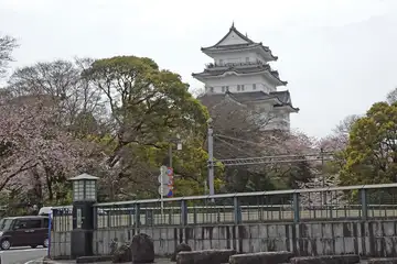小田原古城から眺める小田原城天守閣