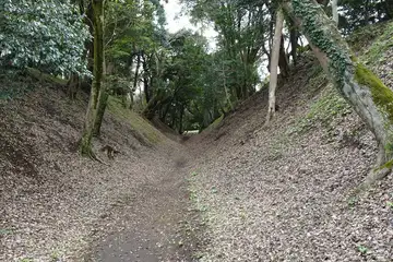 小田原古城の東堀堀底