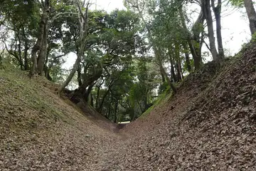 小田原古城の土塁が迫る東堀堀底