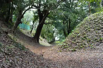 小田原古城の東堀堀底