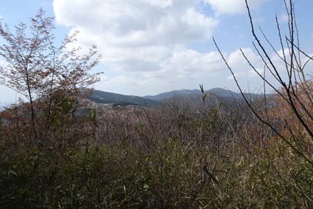 千代田アルプス・木立の先に見えるのは宝篋山