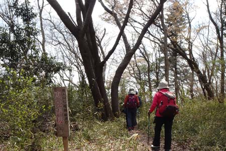 ３番恵比寿桜・千代田アルプス