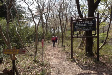 千代田アルプス・雑木林の尾根道