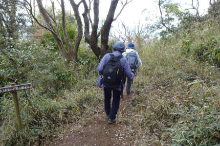 千代田アルプス・翁桜コースを左に分け