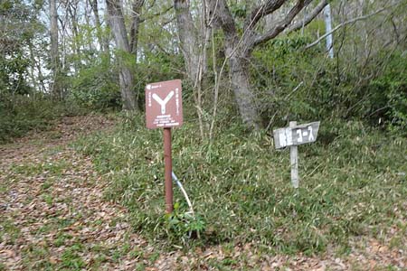 千代田アルプス・直登コースを合わせ
