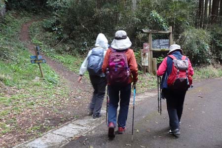 千代田アルプス・舗装道路から山道へ