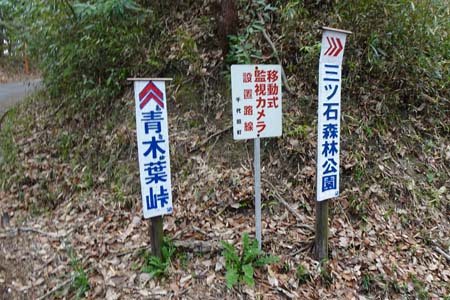 千代田アルプス・青木葉峠への車道を超え