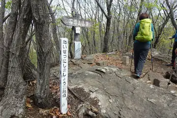 石尊山の山頂に三角点