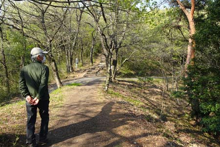 太田市・新田金山城址に雑木林の遊歩道