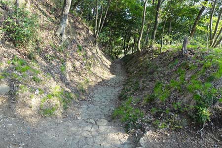 太田市・新田金山城址の堀切