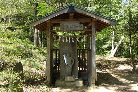 小川町・四津山神社の不動明王堂