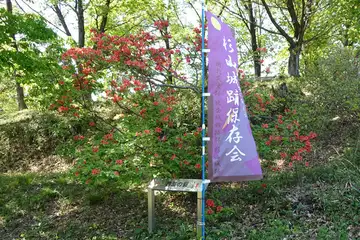 杉山城の南三の郭