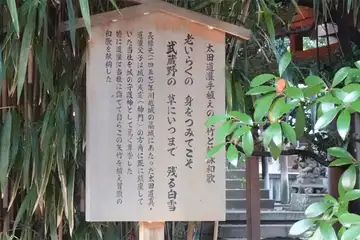 川越市・川越氷川神社の太田道灌手植えの矢竹