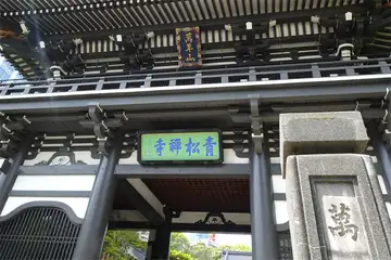 青松禅寺の山門