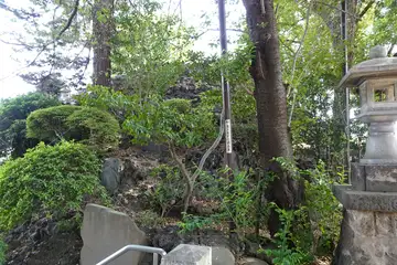 芳葉岡冨士浅間神社富士塚の薄い登り道