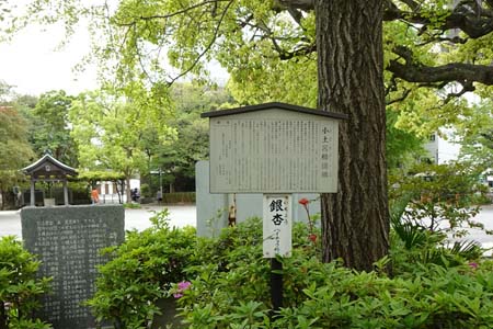 川崎市川崎区・稲毛神社の小土呂橋遺構案内板