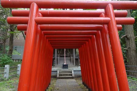 横浜市鶴見区・総持寺の穴熊稲荷鳥居
