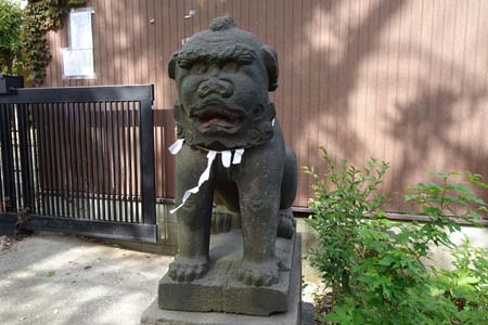 横浜市鶴見区・生麦杉山神社の参道に狛犬