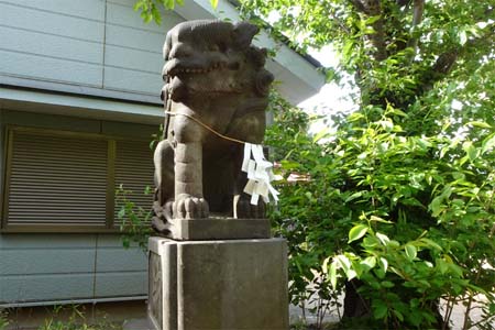 横浜市鶴見区・生麦杉山神社の狛犬