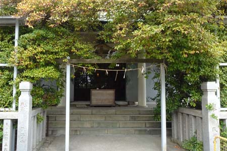 横浜市神奈川区・一之宮神社の木立の中に拝殿