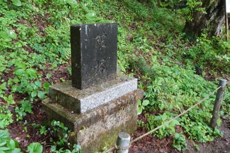 西山峠から南高尾山稜・群生地に蛇塚